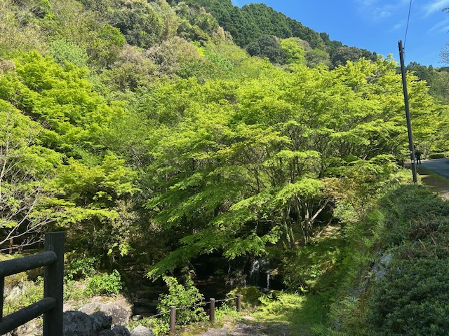 職場のメンタルヘルス