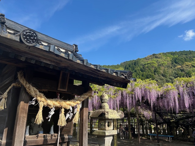 発達障害関連